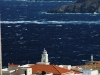dsc_1130.jpg