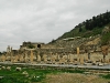 dsc_4384.jpg