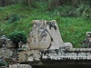dsc_4457.jpg