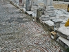 dsc_4463.jpg