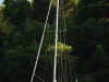 dsc_9524.jpg