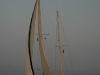 dsc_7756-426x640.jpg