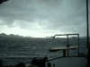 cimg3959_0.jpg