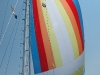 dsc_4175.jpg