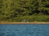 dsc_7155-640x426.jpg