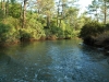 dsc_7162-640x426.jpg
