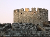 dsc_2174.jpg
