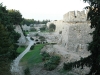 dsc_2180.jpg