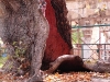 dsc_1676.jpg
