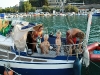 dsc_9890.jpg