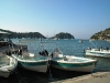 dsc_0078.jpg