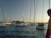 dsc_9548.jpg