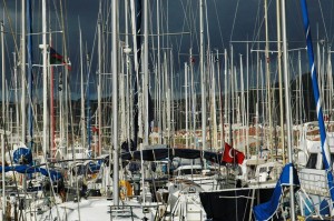 Mastenwald in der Netsel-Marina